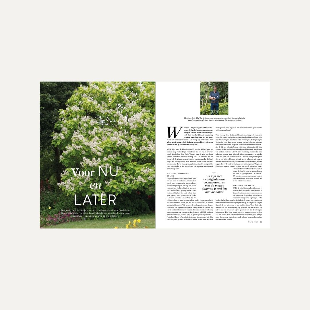 MAY & JUNE magazine #17