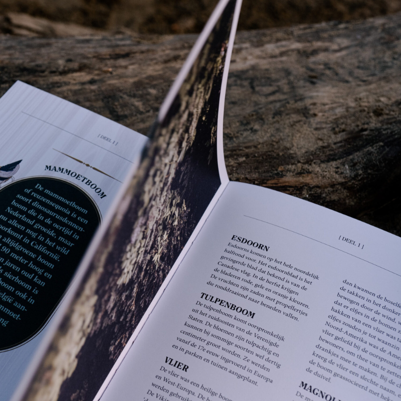 Dikke oude bomen boek (Gerard Janssen)