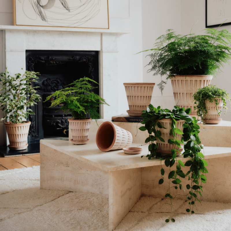 Pantheon terracotta pot
