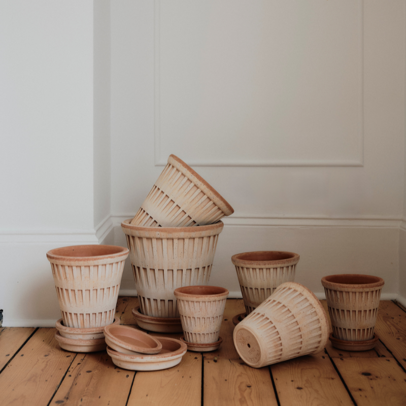 Pantheon terracotta pot