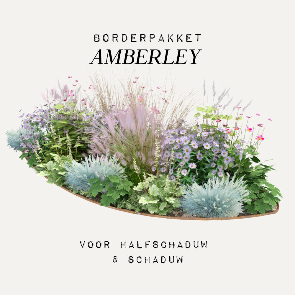 Borderpakket AMBERLEY voor (half)schaduw