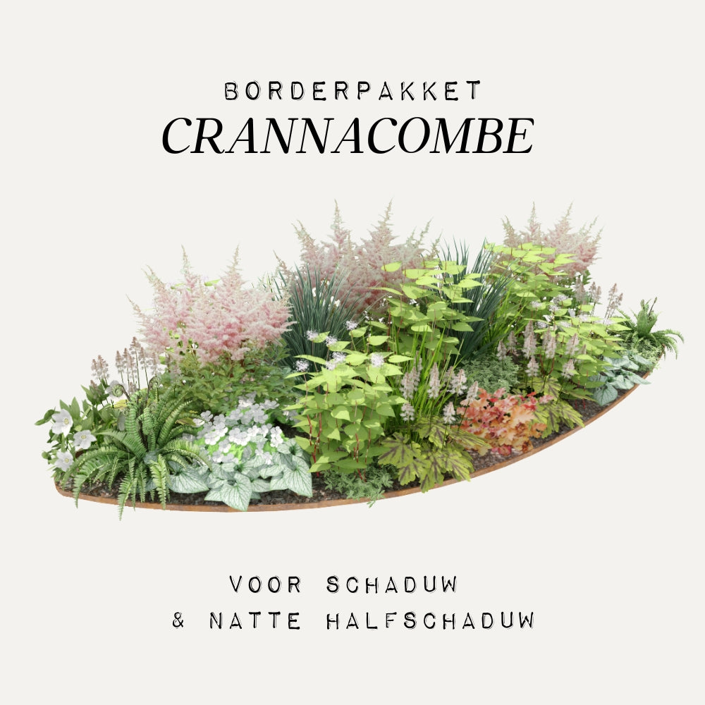 Borderpakket CRANNACOMBE voor (half)schaduw