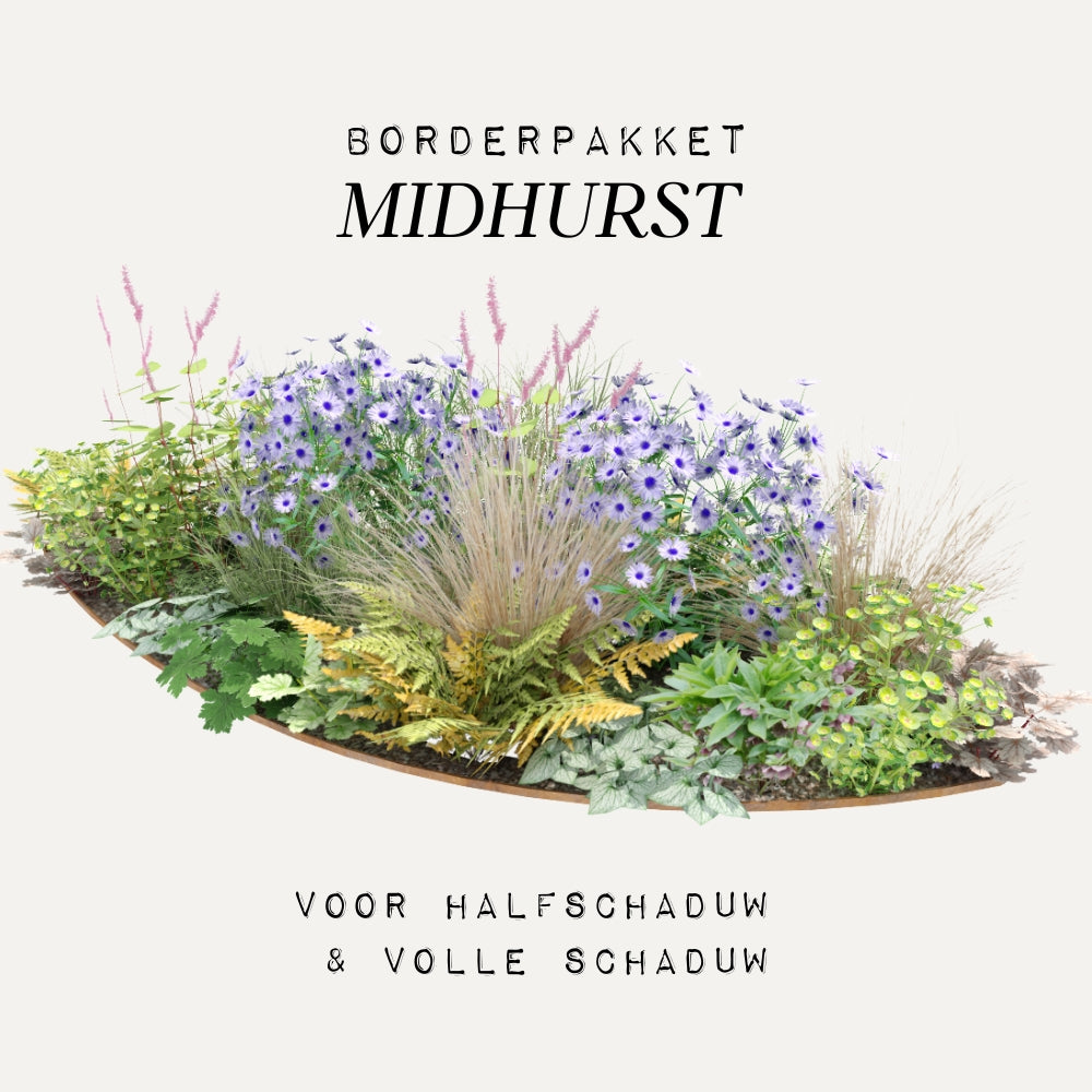 Borderpakket MIDHURST voor (half)schaduw