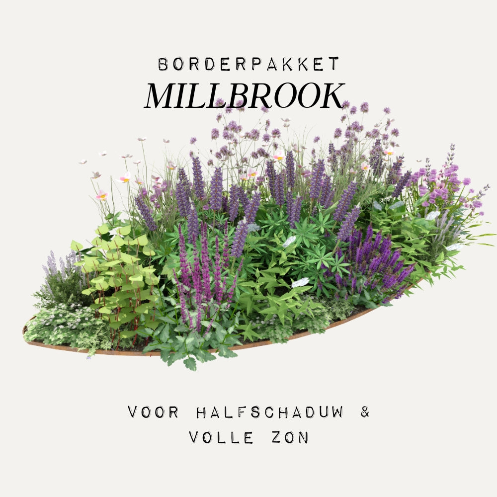 Borderpakket MILLBROOK voor halfschaduw en volle zon