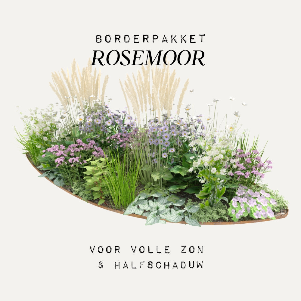 Borderpakket ROSEMOOR voor halfschaduw en volle zon