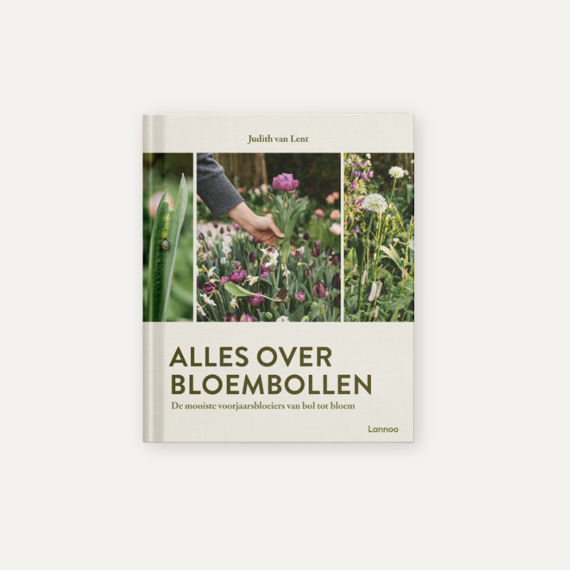 Alles over bloembollen (Uitgeverij Lannoo, 2025)
