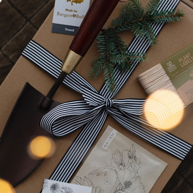 Giftbox GREEN FINGERS
