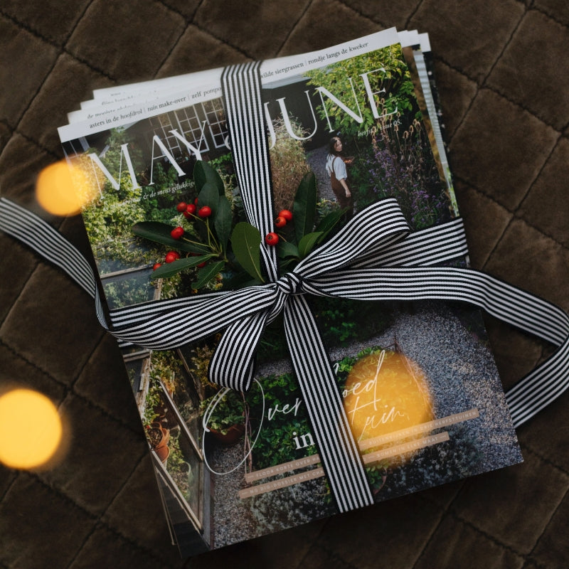 Giftbox MAGAZINE