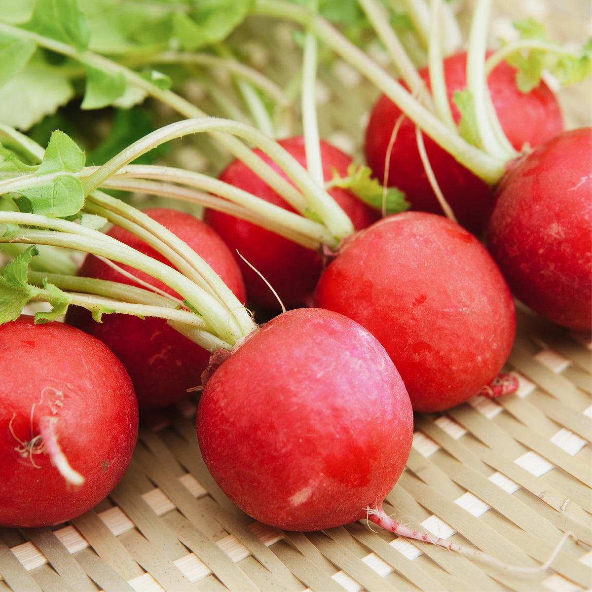 Moestuin in een doosje 'Groente zaaien met kinderen'