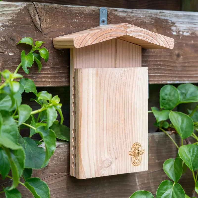 Observatiehotel voor metselbijen