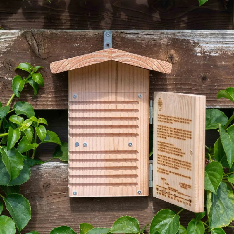 Observatiehotel voor metselbijen