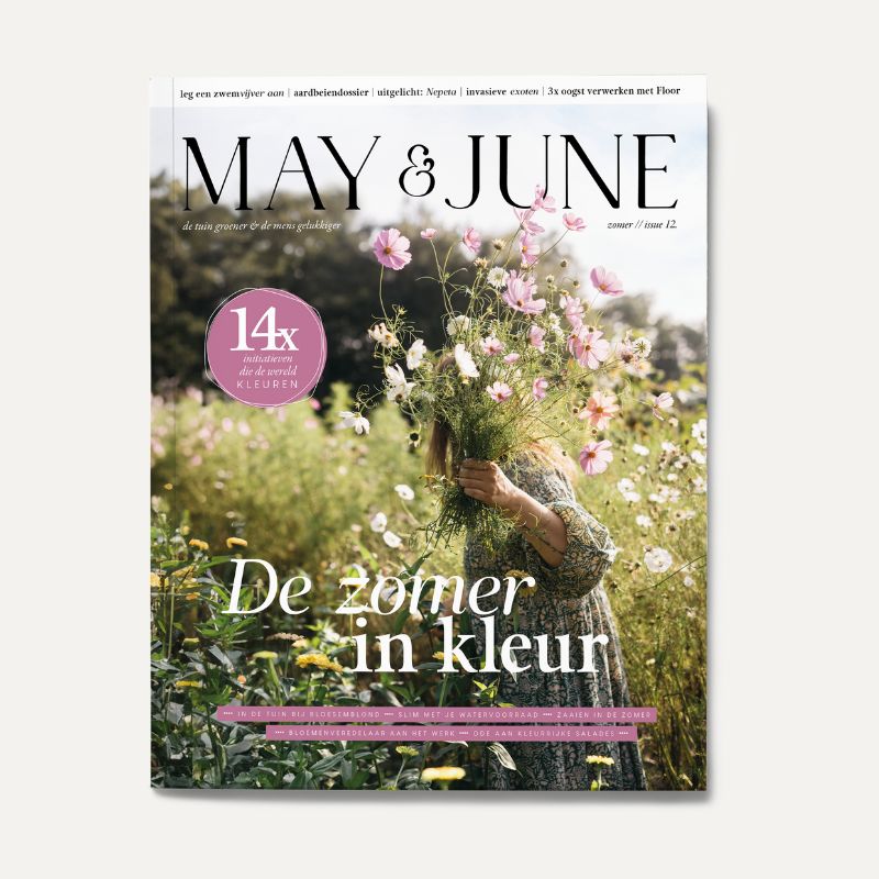 MAY & JUNE magazine #12