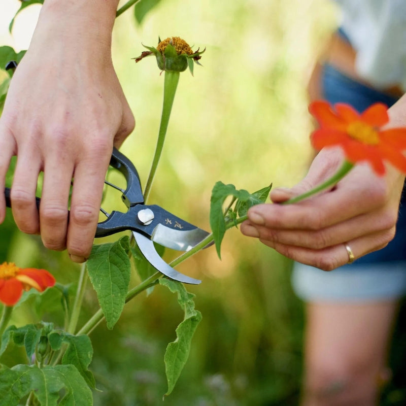 Niwaki sentei snoeischaar