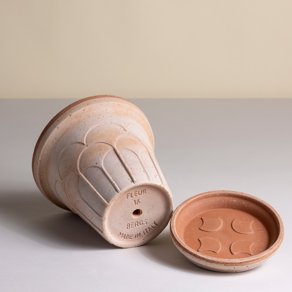 Fleur terracotta pot / Rosa