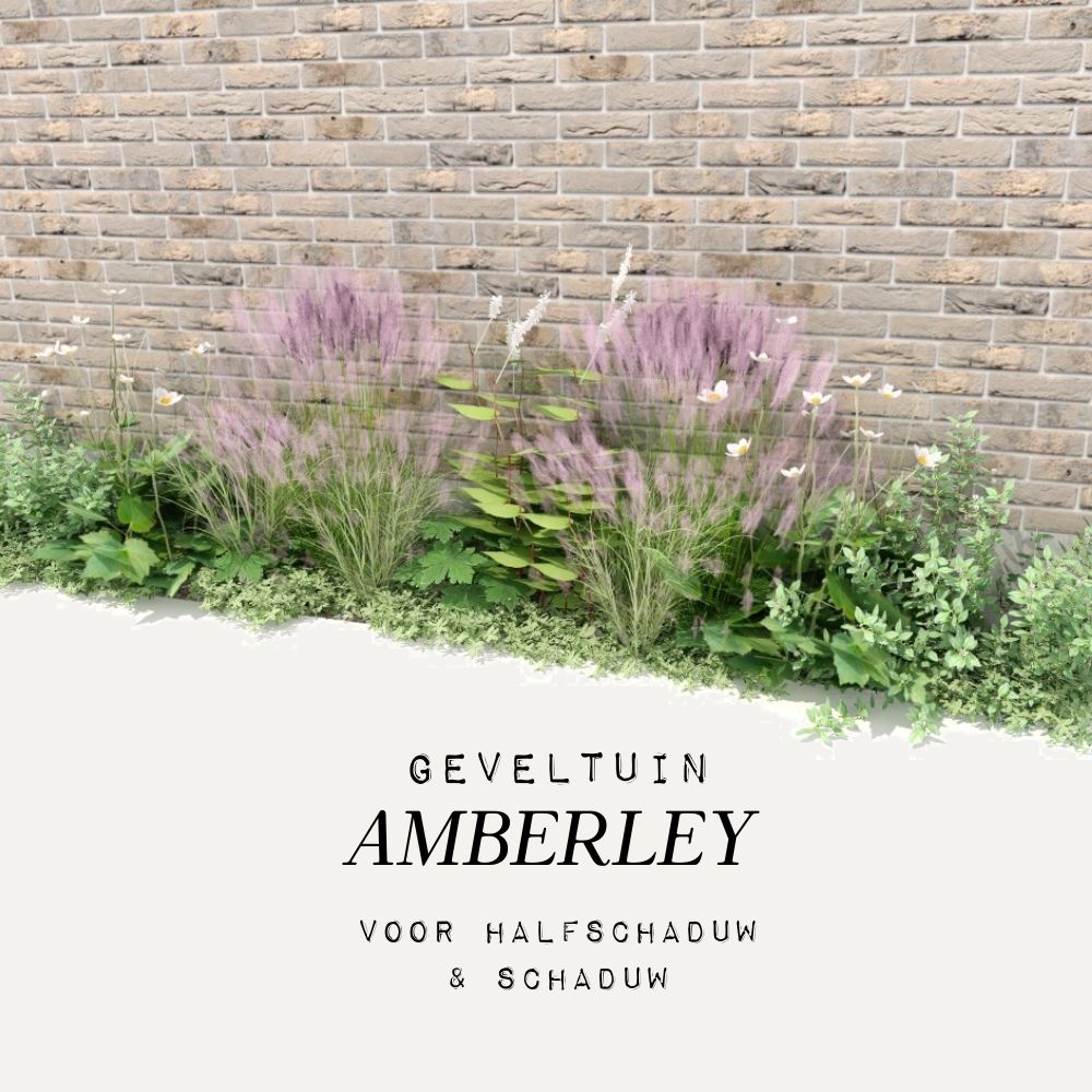 Geveltuin AMBERLEY voor (half)schaduw