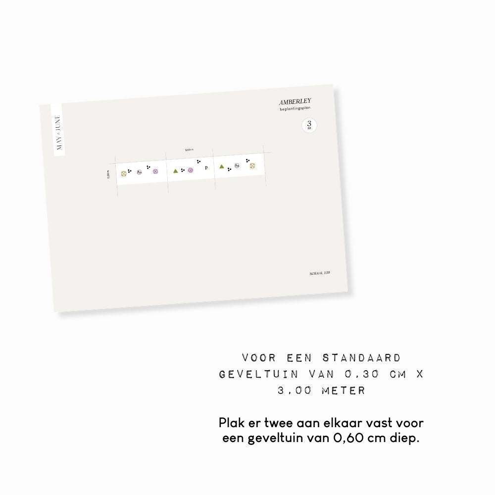 Geveltuin AMBERLEY voor (half)schaduw