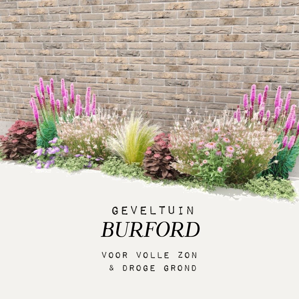 Geveltuin BURFORD voor volle zon