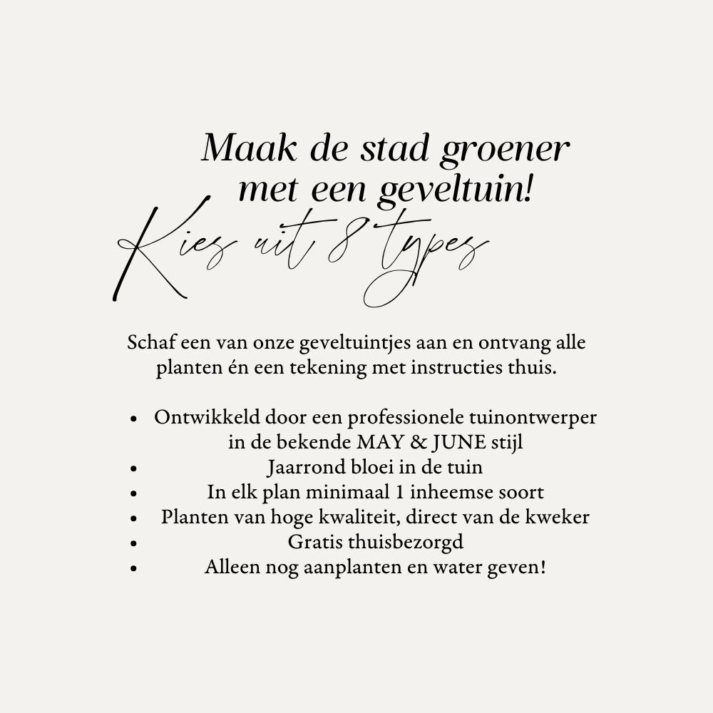Geveltuin BURFORD voor volle zon
