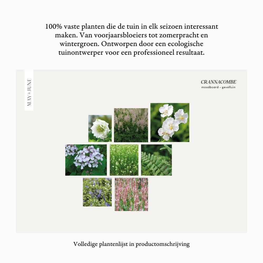 Geveltuin CRANNACOMBE voor (half)schaduw