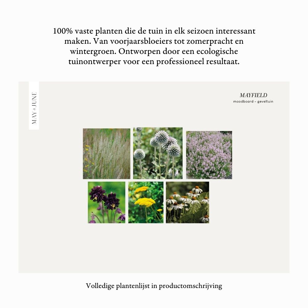 Geveltuin MAYFIELD prairiestijl voor volle zon