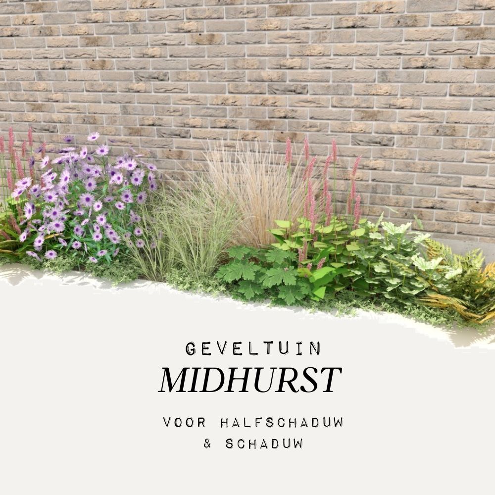 Geveltuin MIDHURST voor (half)schaduw