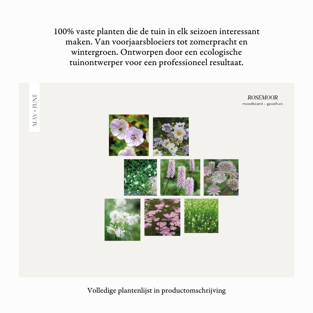 Geveltuin ROSEMOOR voor halfschaduw en volle zon