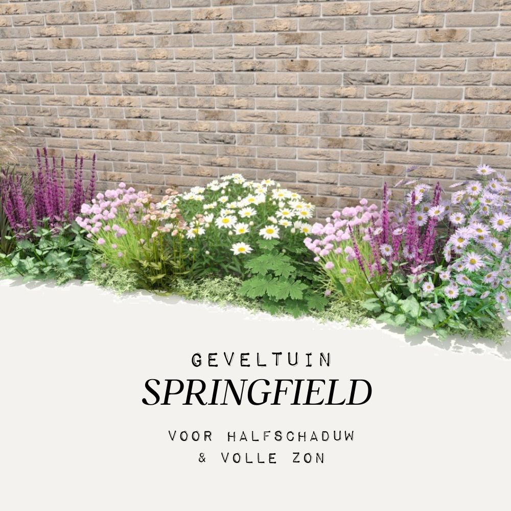Geveltuin SPRINGFIELD voor halfschaduw en volle zon