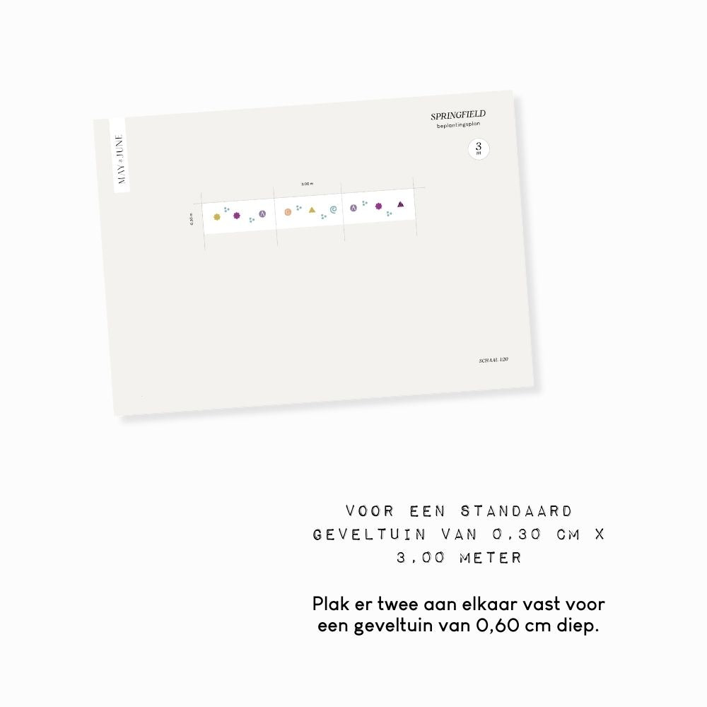Geveltuin SPRINGFIELD voor halfschaduw en volle zon