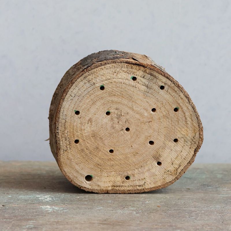 Bijenhotel voor tronkenbijen