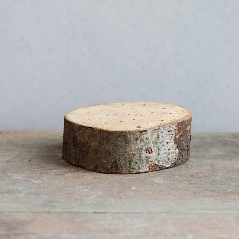 Bijenhotel voor tronkenbijen