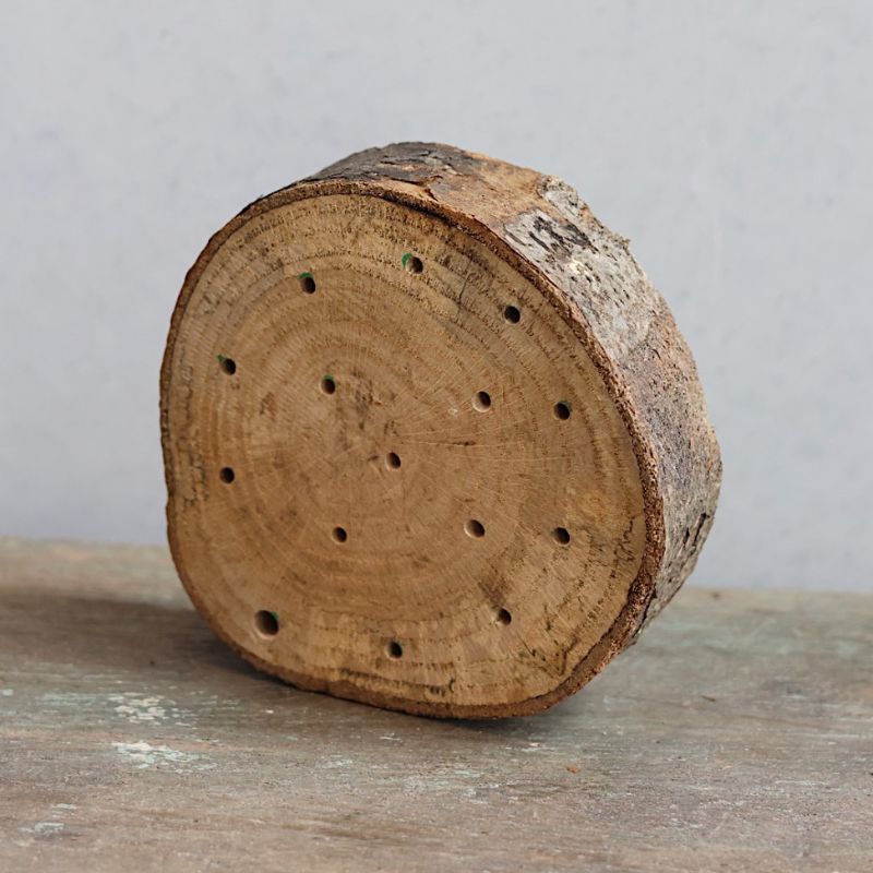 Bijenhotel voor tronkenbijen