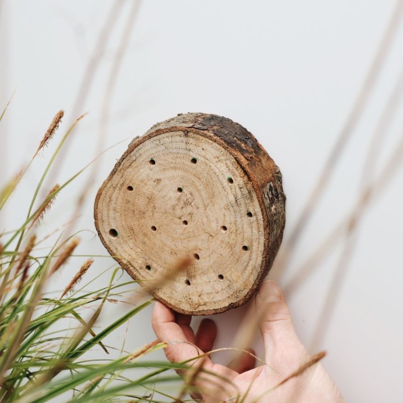 Bijenhotel voor tronkenbijen