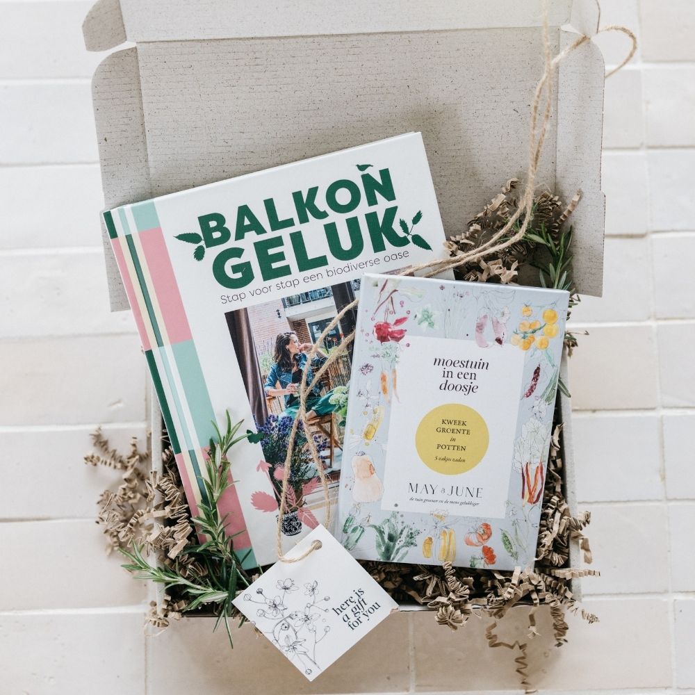 Brievenbuscadeau Balkongeluk