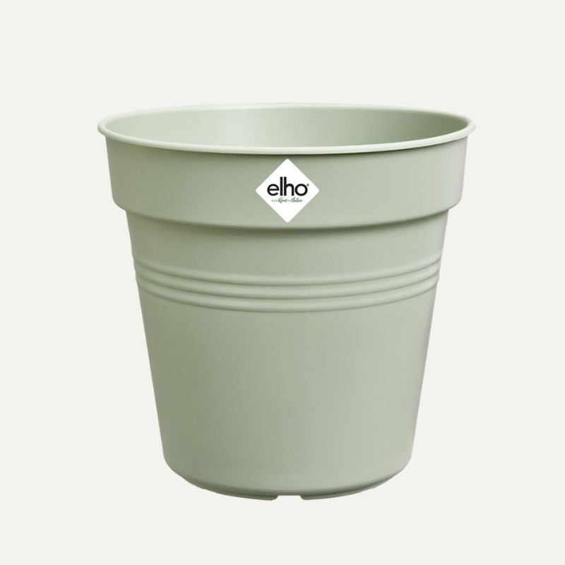Pot voor zaailingen