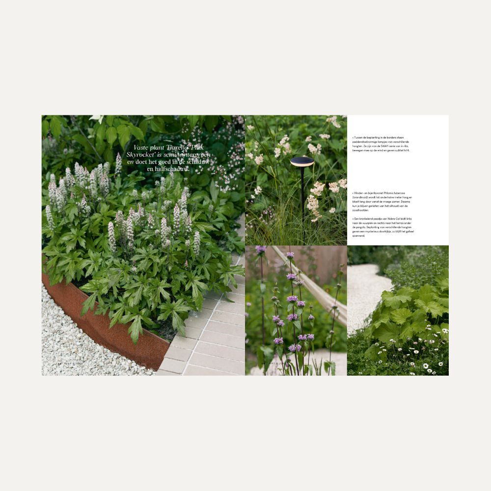 MAY & JUNE magazine #13