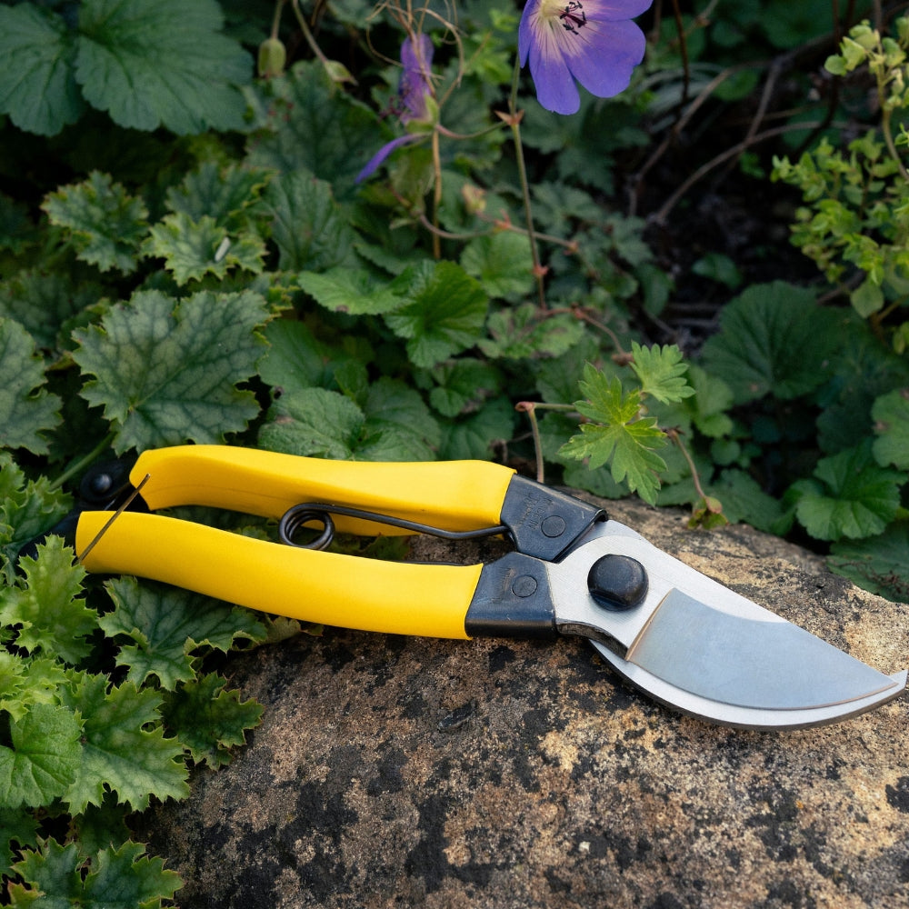 Niwaki mainichi snoeischaar