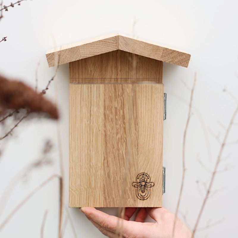 Observatiehotel voor metselbijen