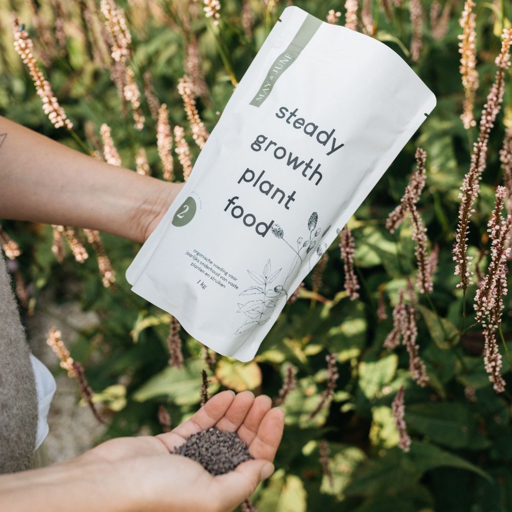 Steady growth plant food (stap 2 bij aanplant)