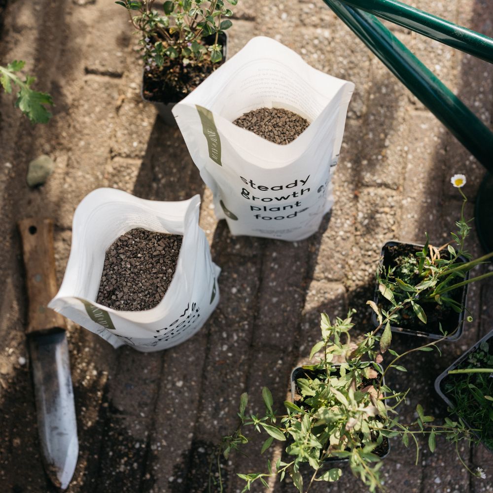 New roots plant food (stap 1 bij aanplant)