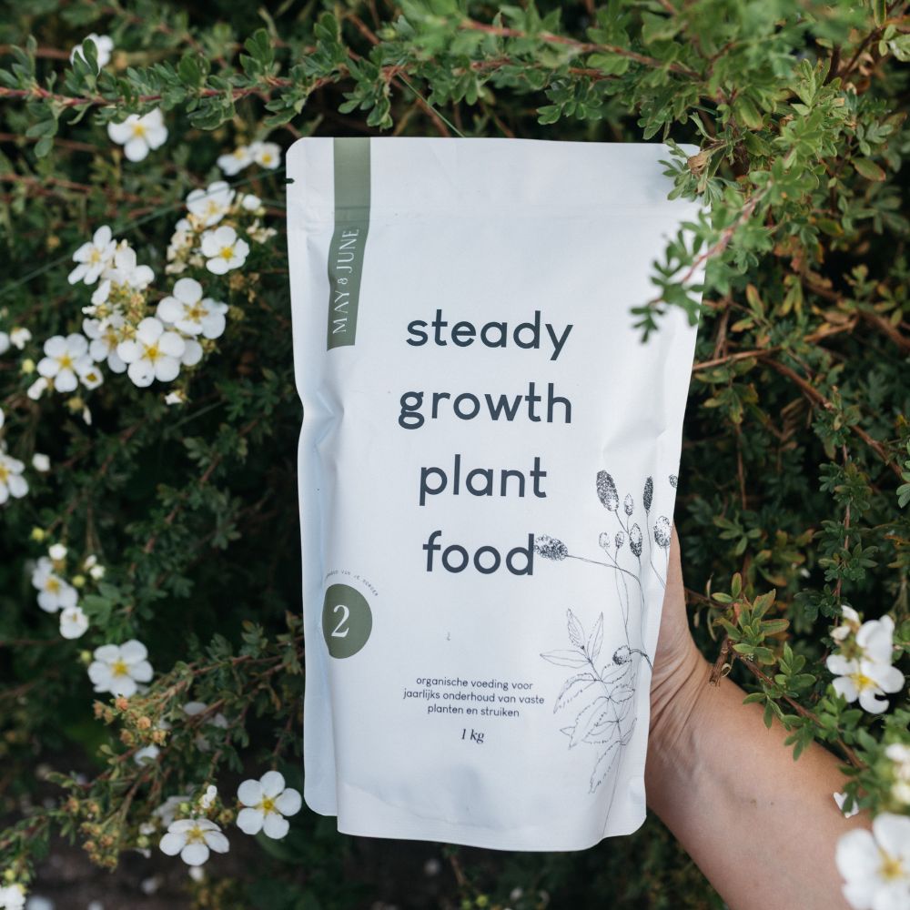 Steady growth plant food (stap 2 bij aanplant)