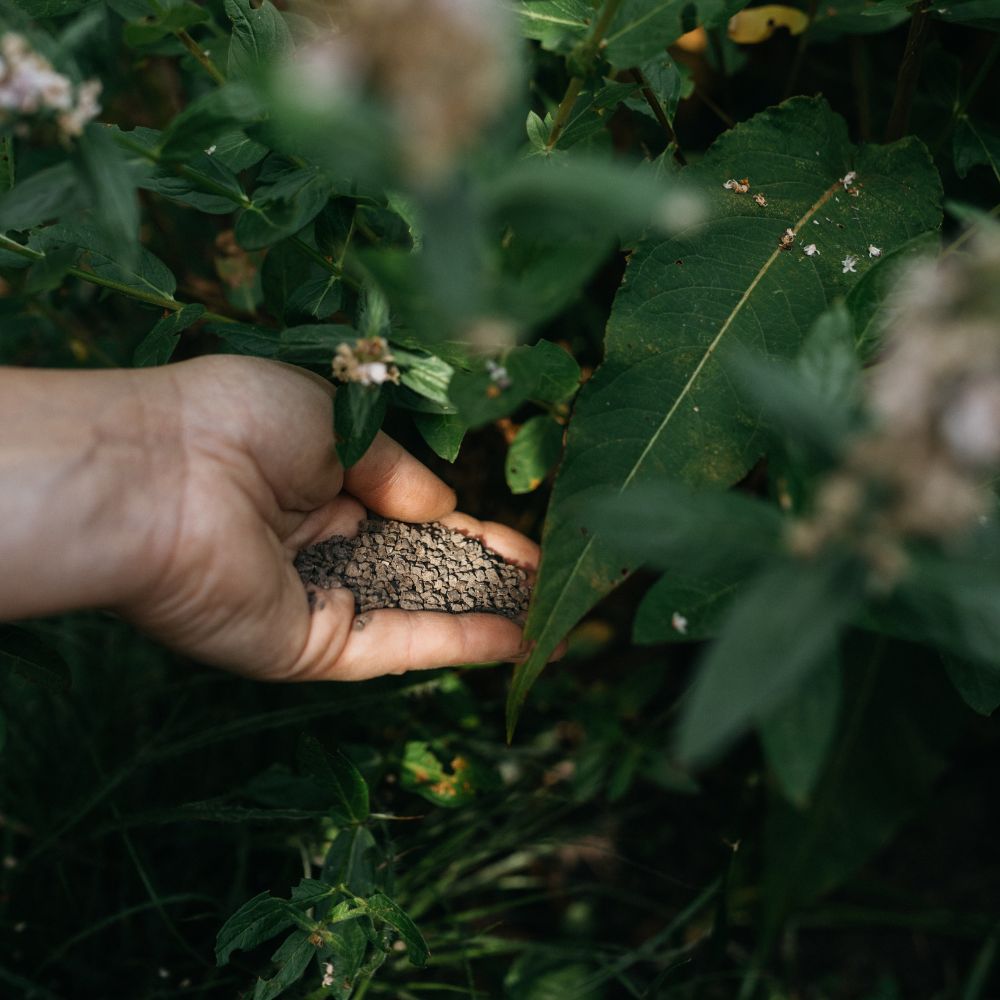 New roots plant food (stap 1 bij aanplant)