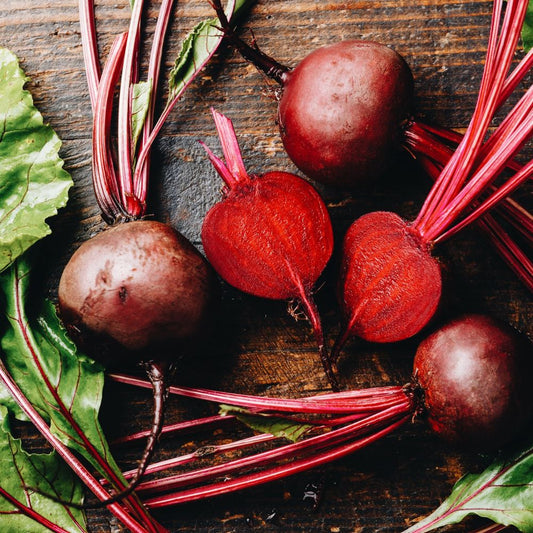 Rode biet 'Kogel 2' BIO