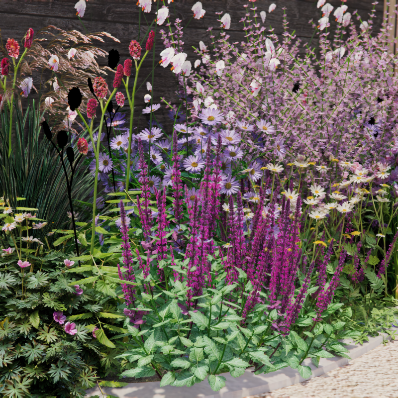 Borderpakket SPRINGFIELD voor halfschaduw en volle zon