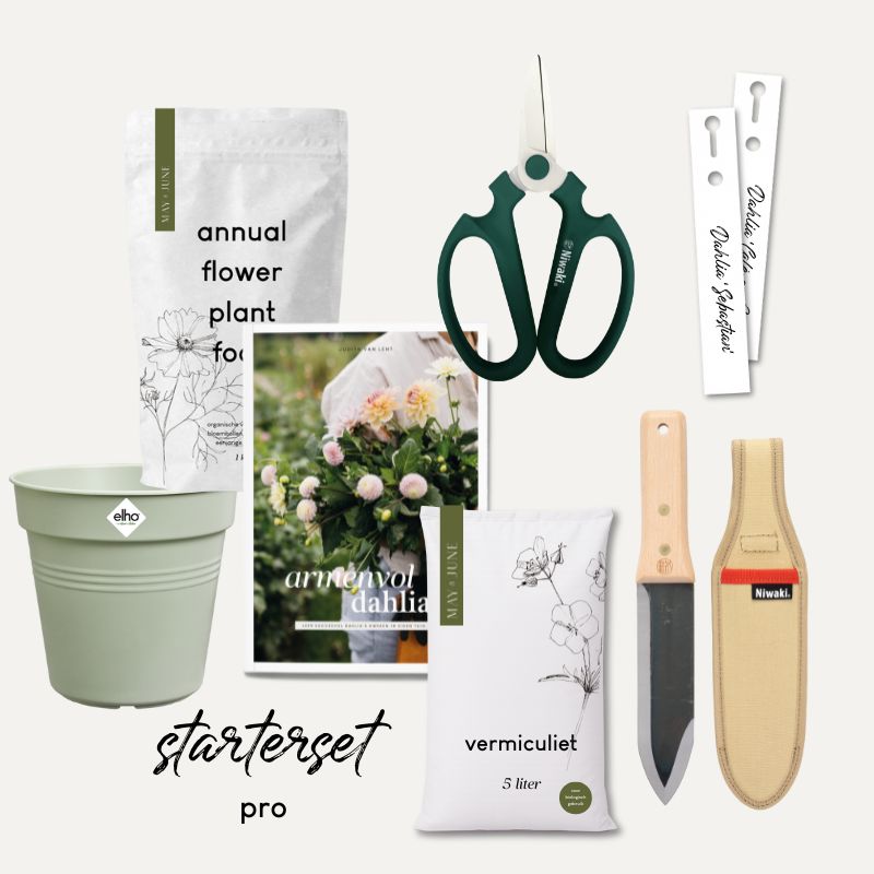 Starterset Dahlia's kweken