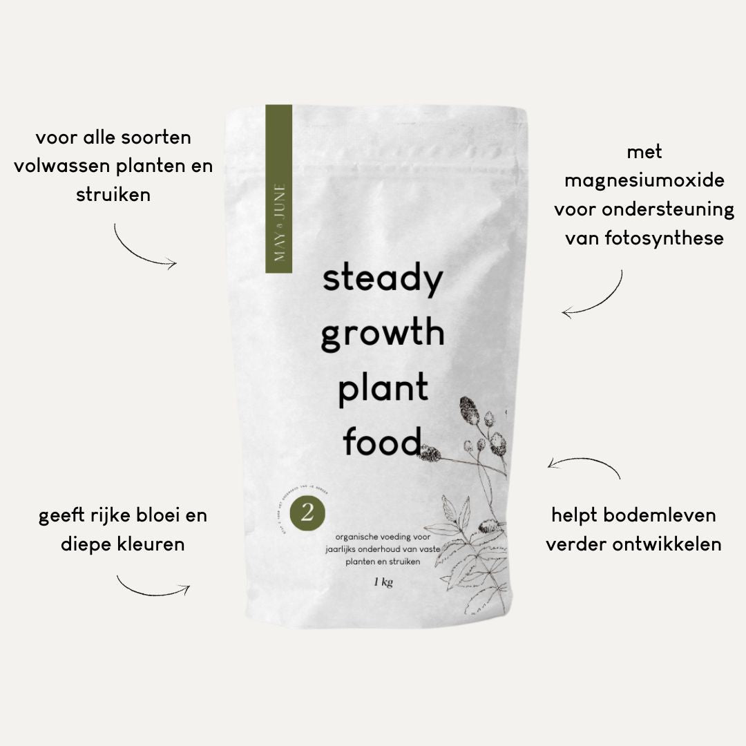 Steady growth plant food (stap 2 bij aanplant)