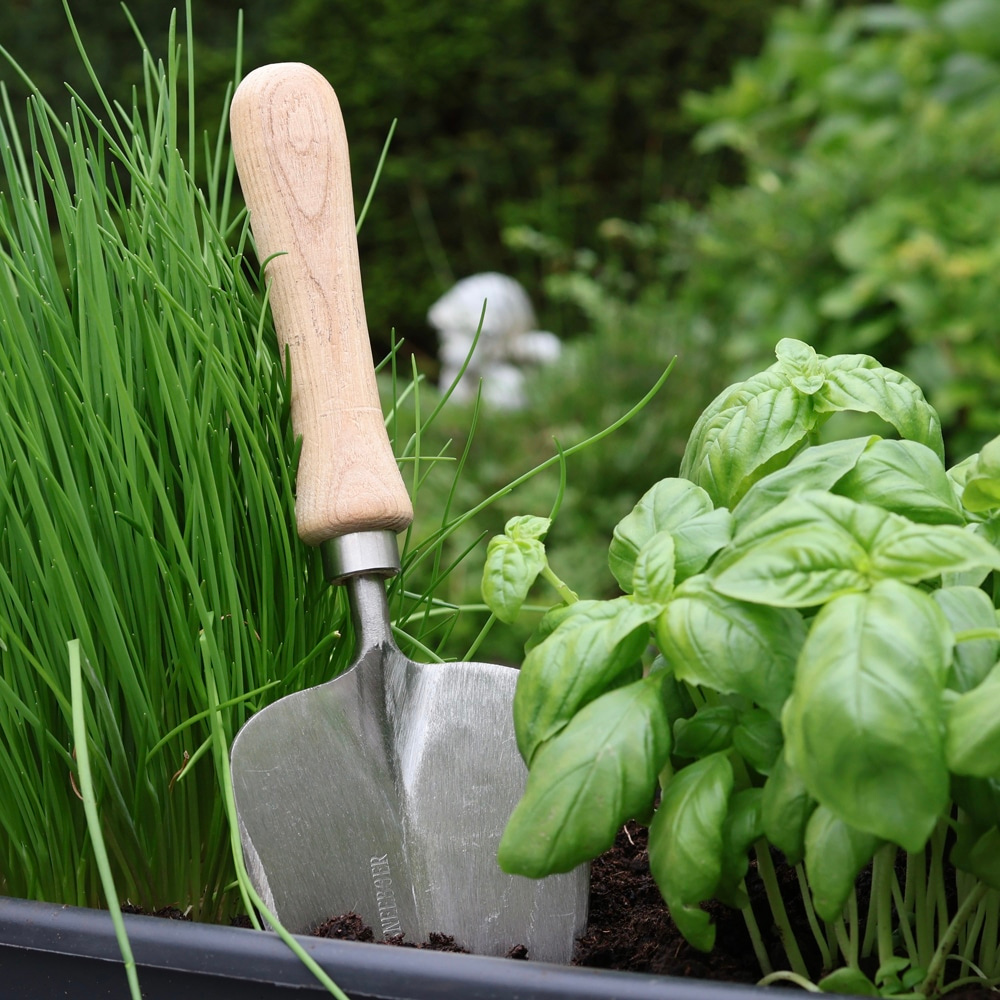 Verplantschopje van Sneeboer