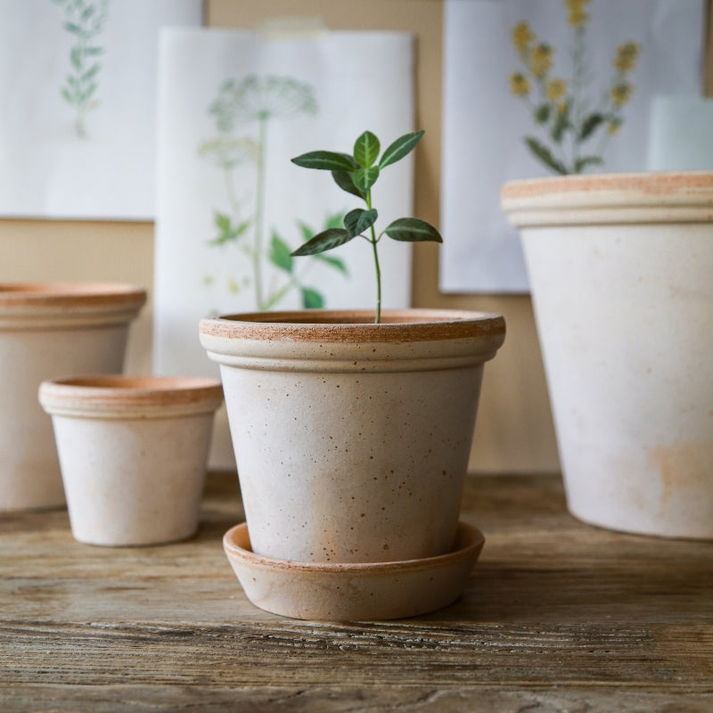 Flora terracotta pot