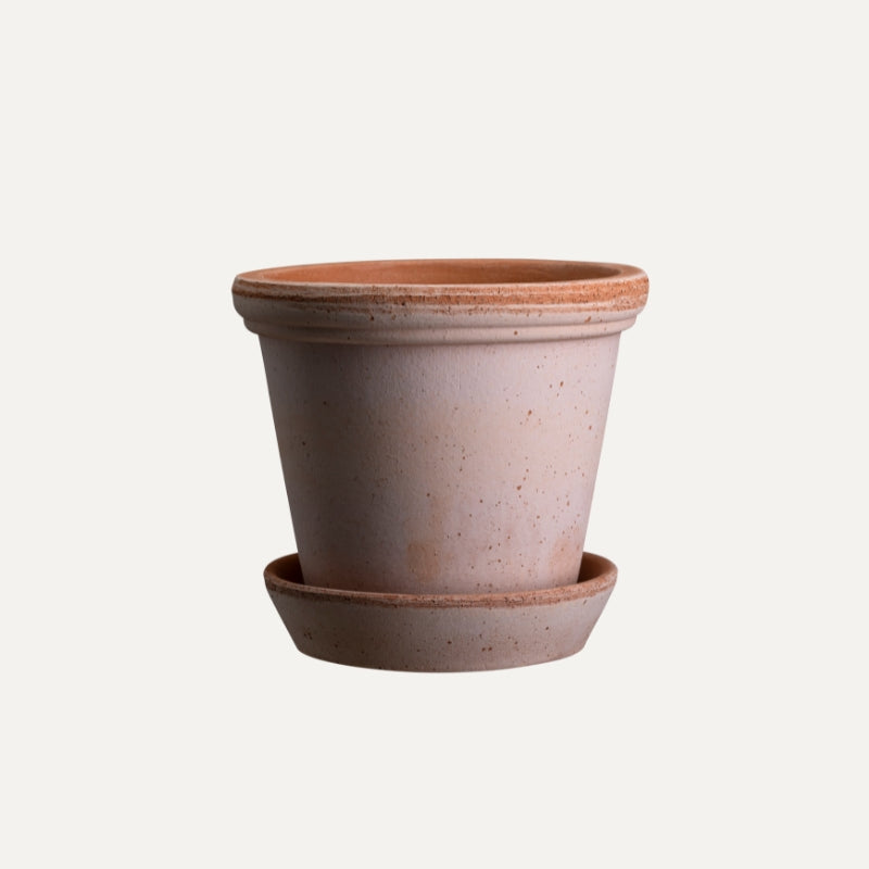 Flora terracotta pot