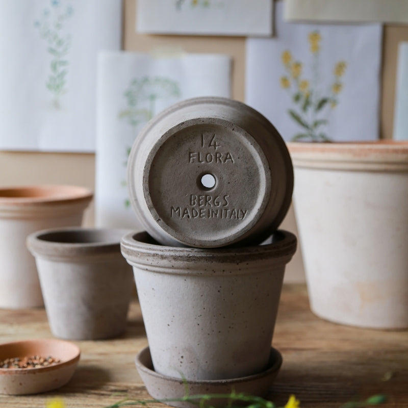 Flora terracotta pot
