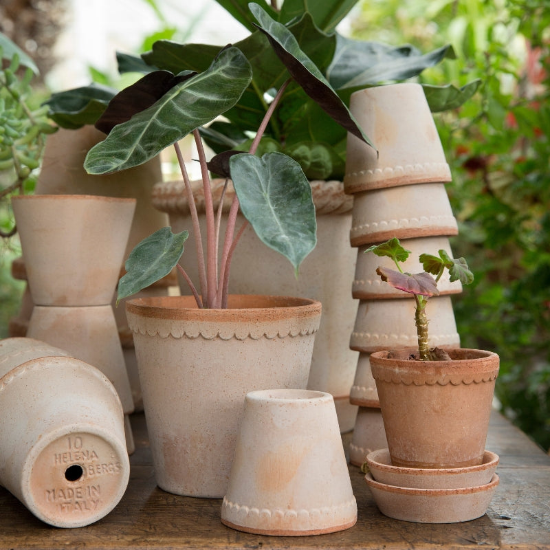 Helena terracotta pot / Rosa